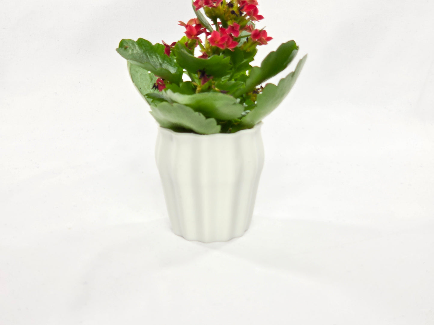 🌸 Blumenvase #4 – 3D-gedruckte Designer Vase