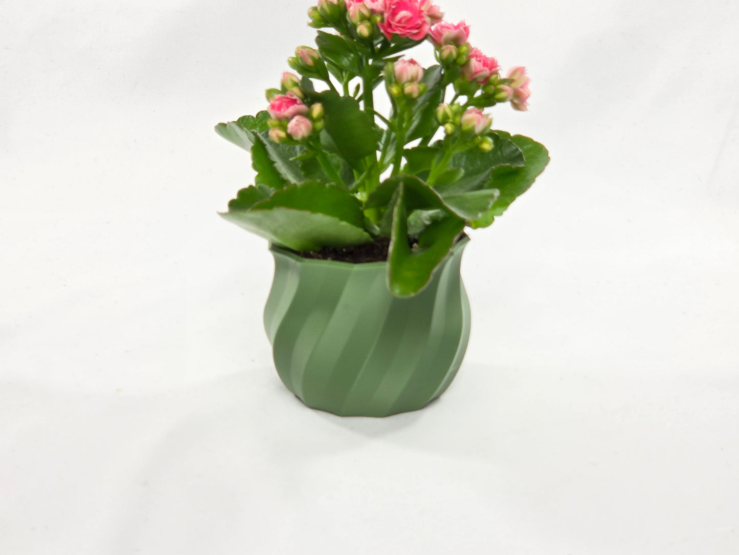 🌸 Blumenvase #2 – 3D-gedruckte Designer Vase