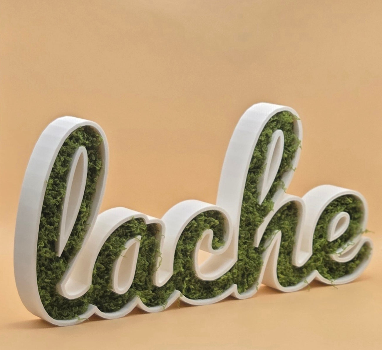 🌿🔤 Moos-Wortschild "lache" – 3D-gedruckt Dekoration