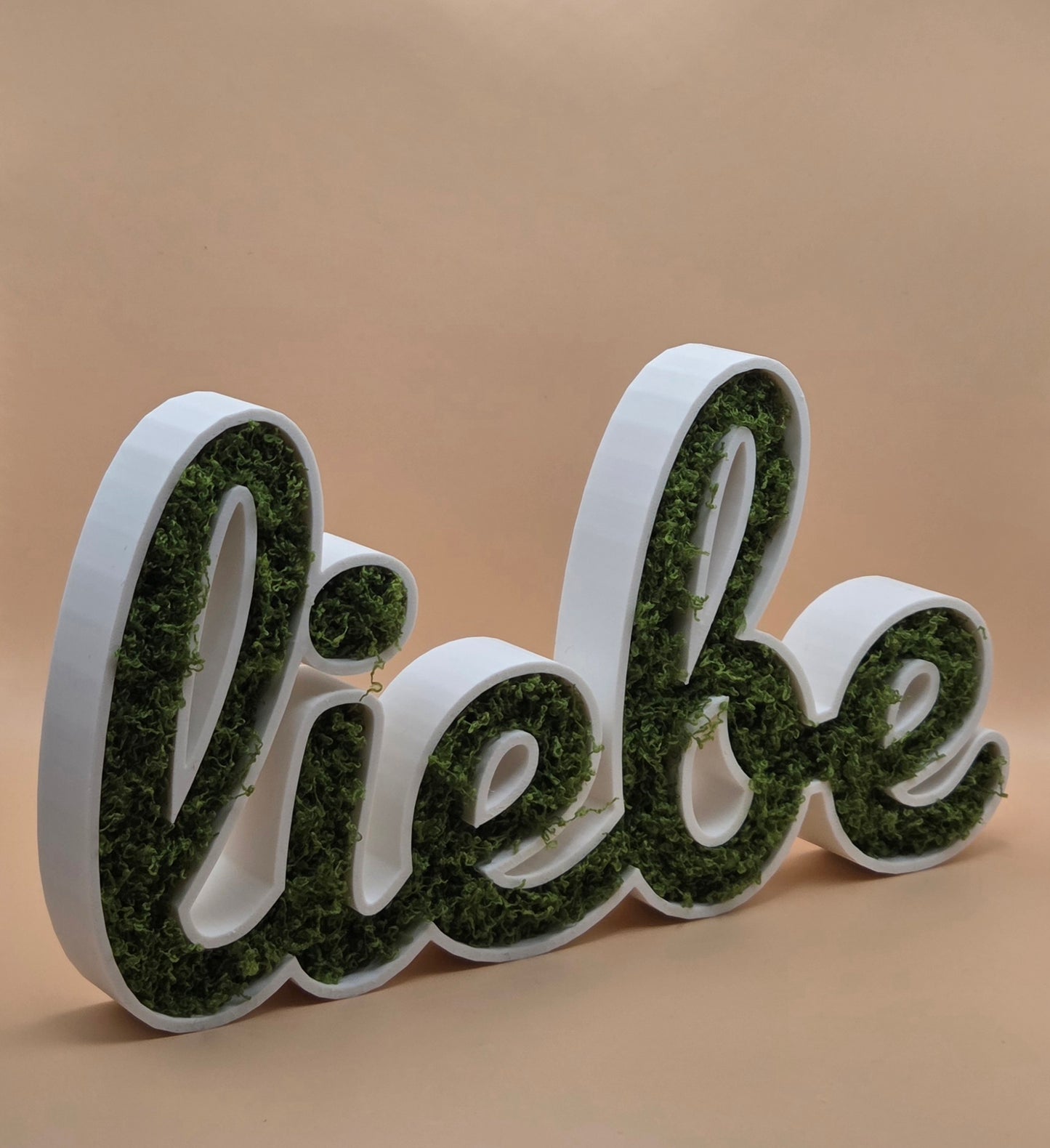 🌿🔤 Moos-Wortschild "liebe" – 3D-gedruckt Dekoration
