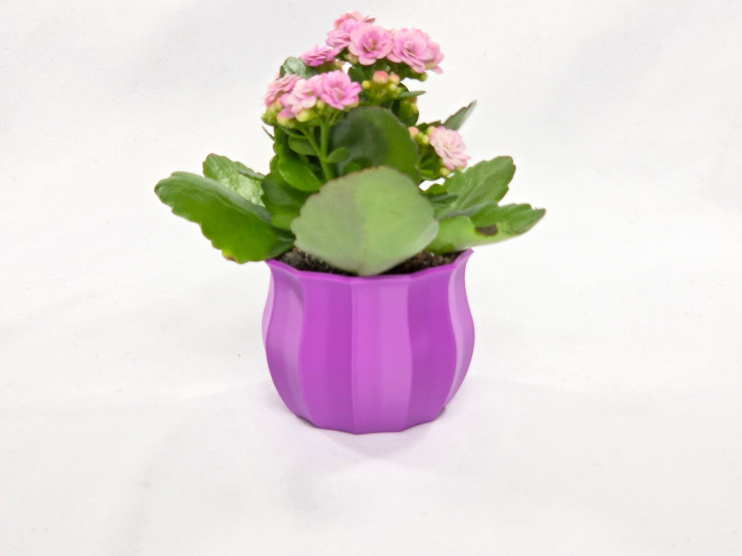 🌸 Blumenvase #1 – 3D-gedruckte Designer Vase