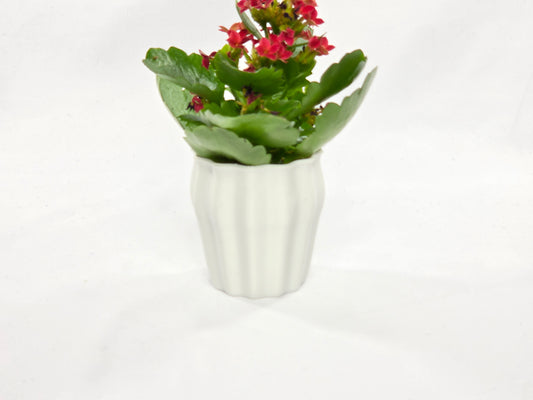 🌸 Blumenvase #4 – 3D-gedruckte Designer Vase