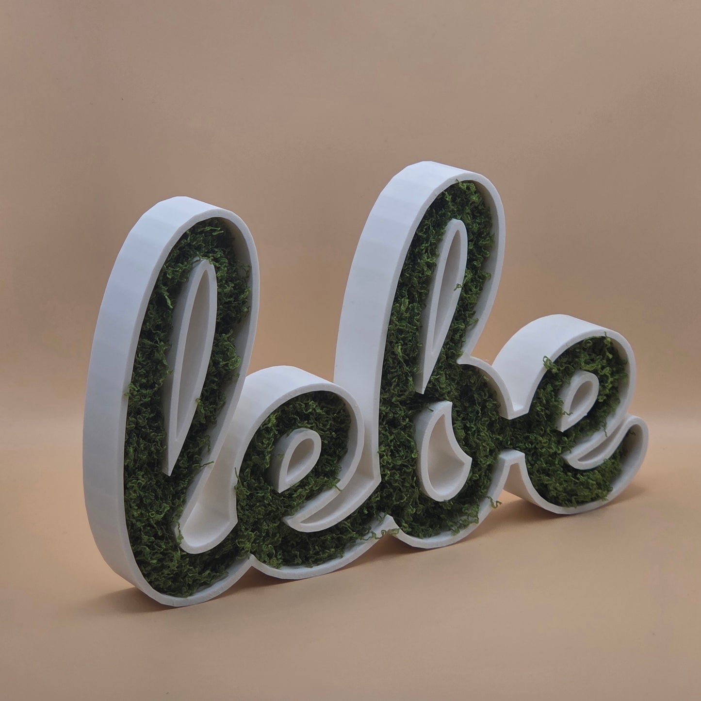 🌿🔤 Moos-Wortschild "lebe" – 3D-gedruckt Dekoration