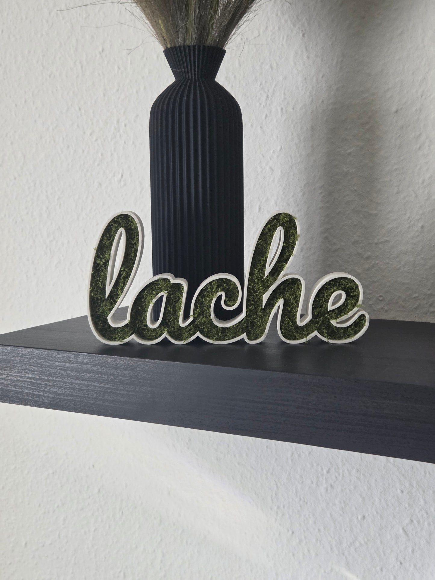 🌿🔤 Moos-Wortschild "lache" – 3D-gedruckt Dekoration