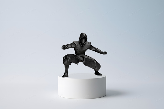 🥷 Schatten-Ninja-Krieger
