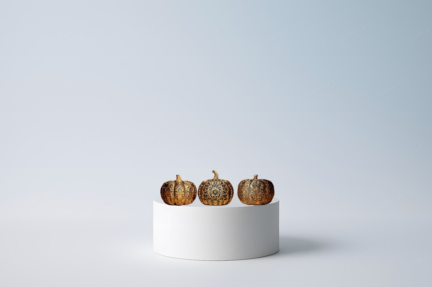 🎃 Designer Zierkürbisse – 3er Set