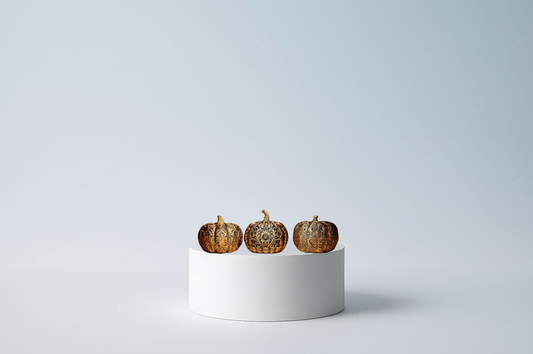 🎃 Designer Zierkürbisse – 3er Set