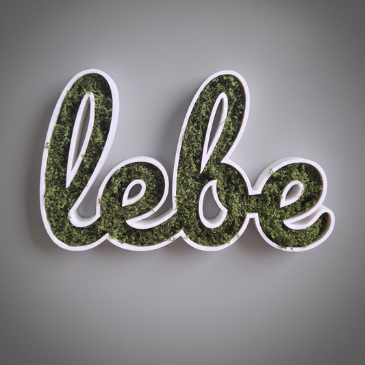 🌿🔤 Moos-Wortschild "lebe" – 3D-gedruckt Dekoration
