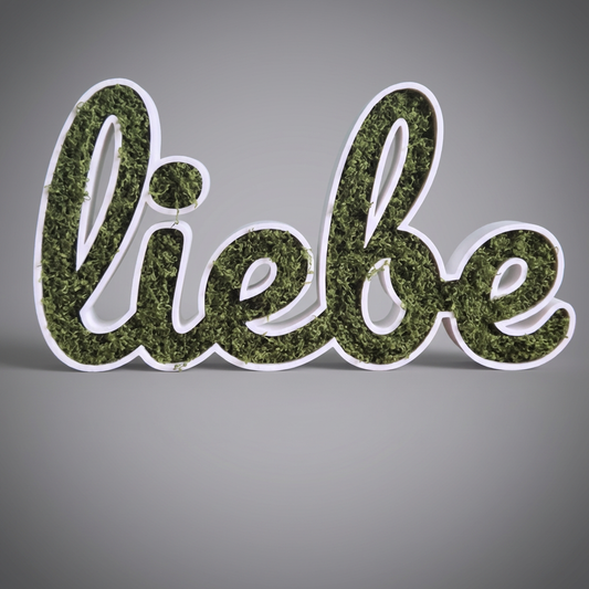 🌿🔤 Moos-Wortschild "liebe" – 3D-gedruckt Dekoration