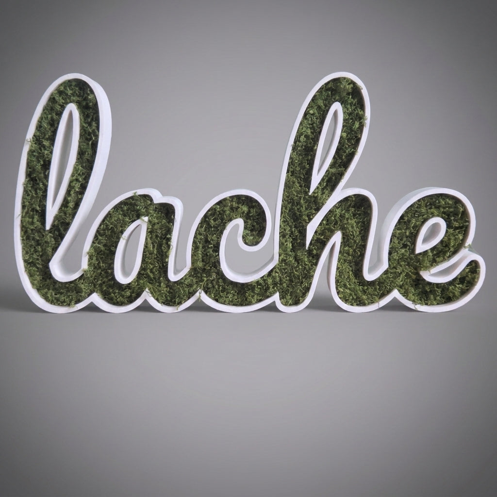 🌿🔤 Moos-Wortschild "lache" – 3D-gedruckt Dekoration
